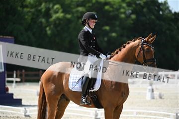 177248_mtp_04_Z09_4475.JPG
