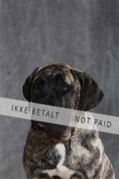 130054_le_ 03_0164.JPG