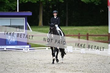 176255_mtp_01_Z09_1317.JPG