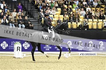 182194_kbb_03_Z092289.JPG