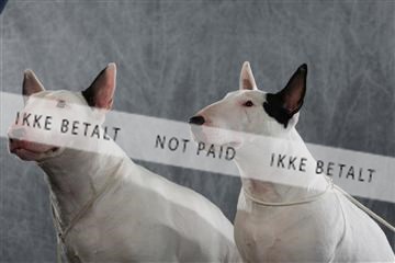 128239_le_kort_ 01_0291.JPG