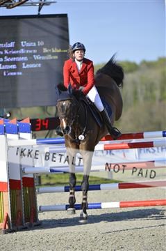 139644_abo_02__AB14805.JPG