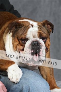 130054_le_ 03_0364.JPG