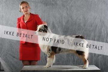 129608_le_ 01_0838.JPG