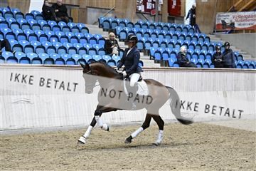 182241_kbb_01_Z095203.JPG