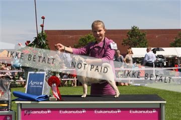 130370_se_02_IMG_6265.JPG