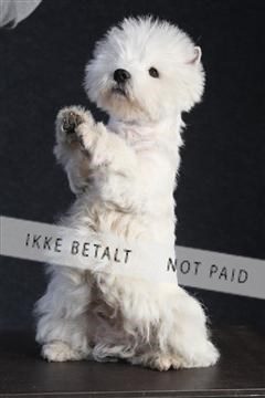 132082_le_ 01_IMG_0419.JPG