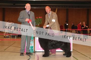 124188 _tl_02_IMG_9703.JPG