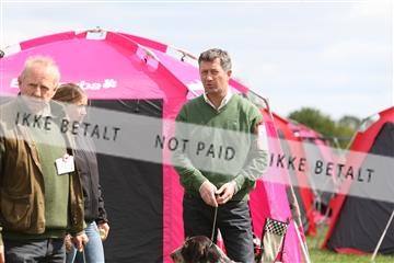 134871_ms_04_IMG_9962.JPG