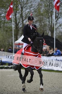 139644_abo_07__AB15763.JPG
