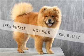 129608_le_ 01_0244.JPG