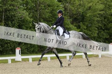 139835_sg_01_IMG_7916.JPG