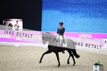 182194_avh_05_2583.JPG