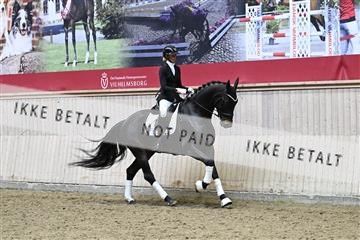 182241_kbb_01_Z094981.JPG