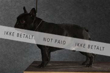 132082_le_ 01_IMG_1512.JPG