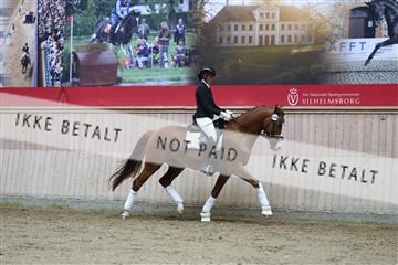 181887_mtp_02_R62_7799.JPG