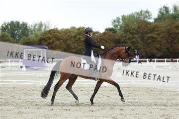 181923_mtp_04_R62_9175.JPG