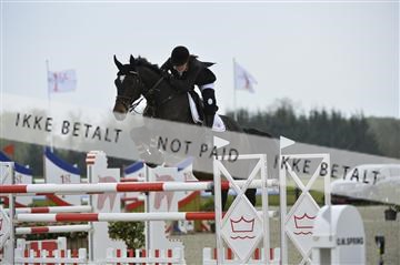139644_abo_06__AB10116.JPG