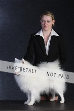 132082_le_ 01_IMG_0463.JPG