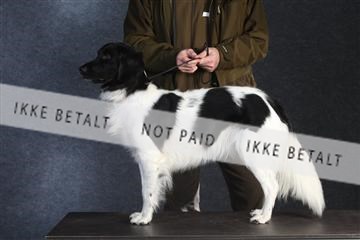 132082_le_ 01_IMG_0544.JPG