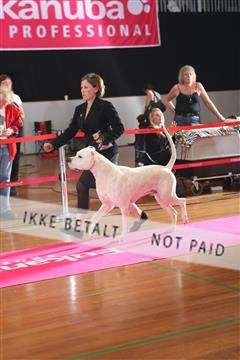 6068_ma_05_IMG_6059.JPG