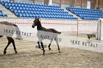 181754_kbb_01_Z093449.JPG