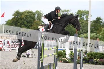 152762_nn _05_IMG_7494.JPG