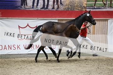181957_mtp_08_R62_5701.JPG