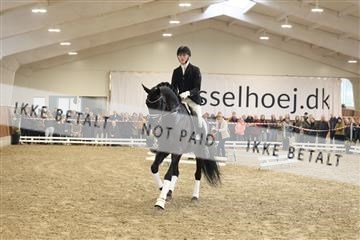 174363_kbb_01_R6II8305.JPG