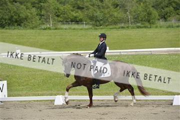 140040_abo_01__AB16907.JPG
