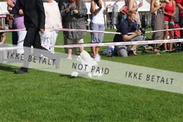 130370_se_02_IMG_6615.JPG
