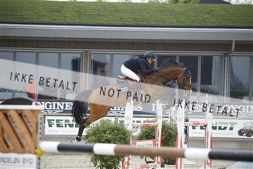 181436_kbb_01_6II6742.JPG