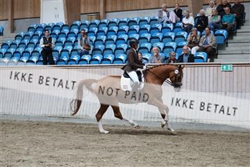 181887_mtp_01_R62_7080.JPG