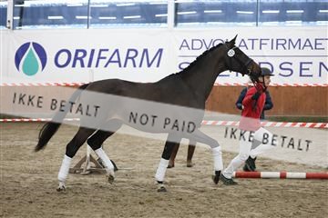 175968_mlm_02_R62_0297.JPG