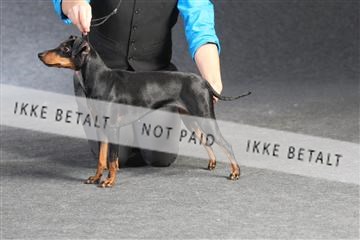 132082_le_ 01_IMG_1388.JPG