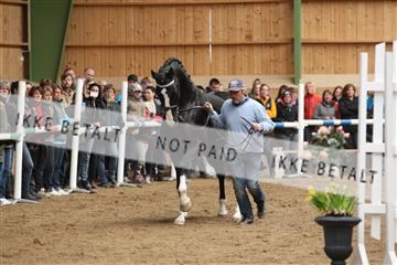 139265_kl_1_8M1Q6243.JPG