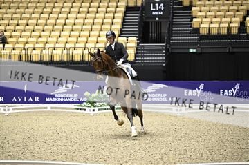182194_kbb_02_Z097939.JPG