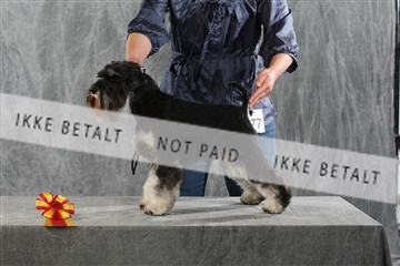 128239_le_kort_ 01_0390.JPG