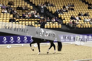 182194_kbb_03_Z090436.JPG