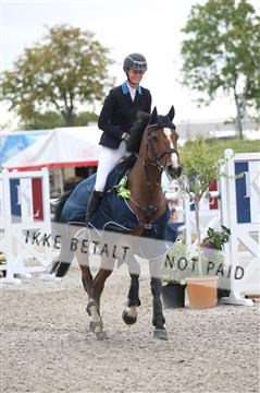 152762_nn _05_IMG_7808.JPG