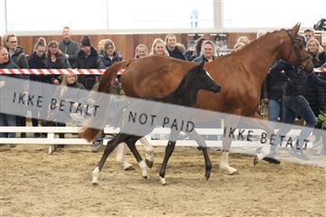 174363_kbb_01_R6II8232.JPG