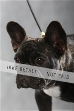 129608_le_ 01_0125.JPG