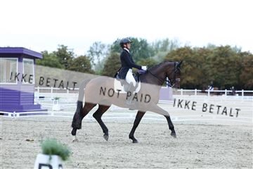 181923_mtp_04_R62_8776.JPG