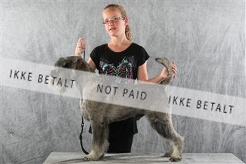 129608_le_ 02_0393.JPG