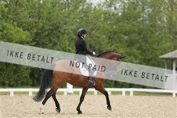 139835_sg_01_IMG_8265.JPG