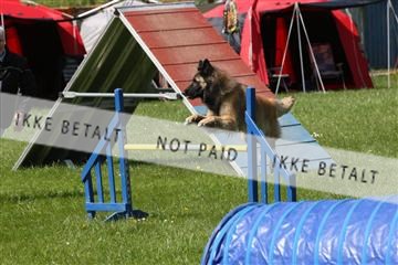 134871_ms_02_IMG_3043.JPG