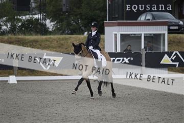 166078_rhj_01__J7R4324.JPG
