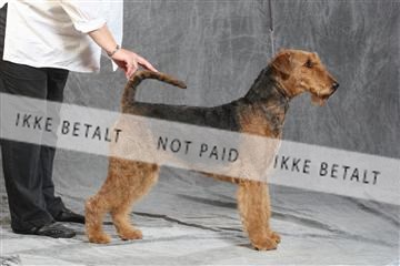 130054_le_ 03_0190.JPG