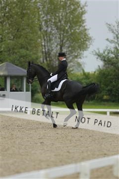 139835_sg_03_IMG_9152.JPG
