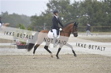 169624_kbb_01__KBB8070.JPG
